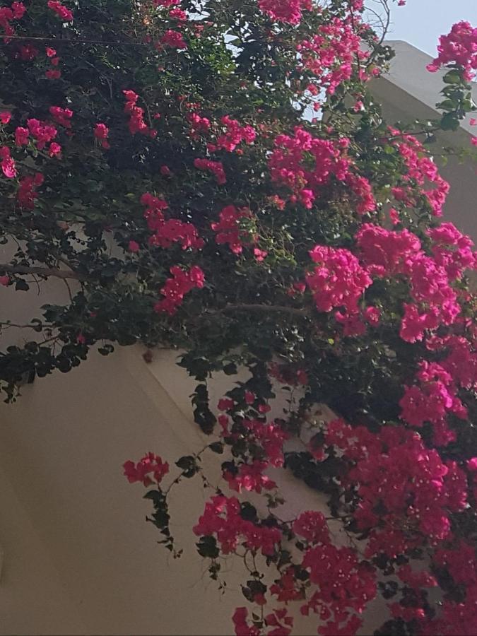 Noble Inn Loutráki Dış mekan fotoğraf